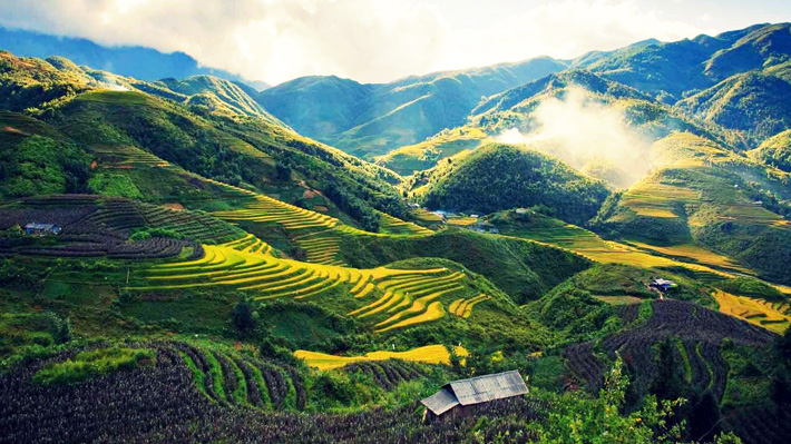 Tour Miền Bắc 5N4D: Sài Gòn - SaPa - Ninh Bình - Hạ Long